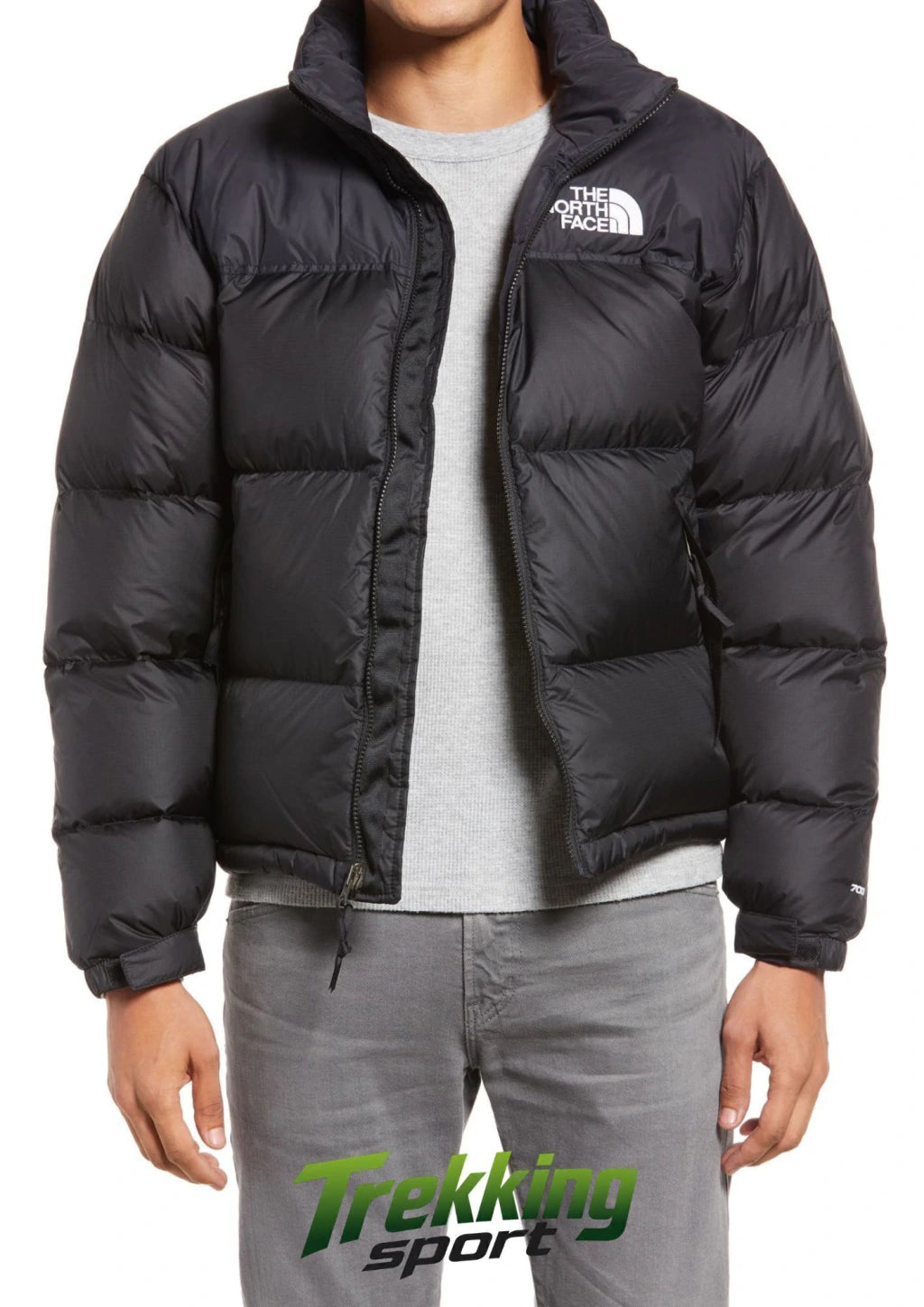 CAMPERA THE NORTH FACE NEGRA