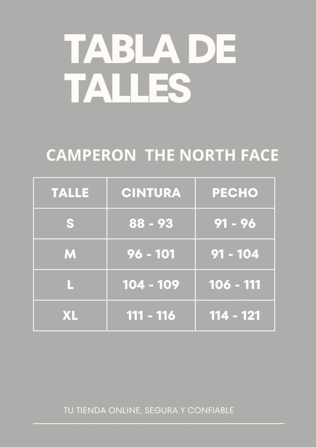 CAMPERA THE NORTH FACE AZUL